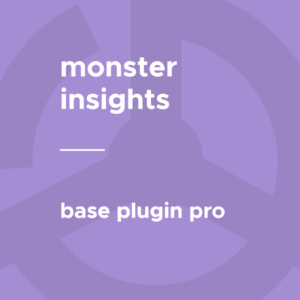 MonsterInsights Pro