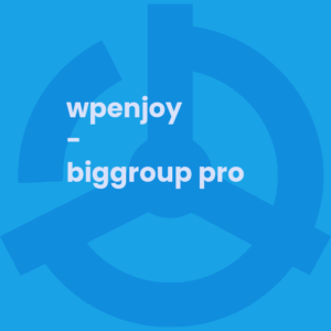 WPEnjoy - BigGroup Pro