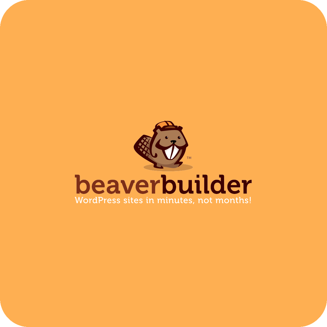Beaver Builder - Themer