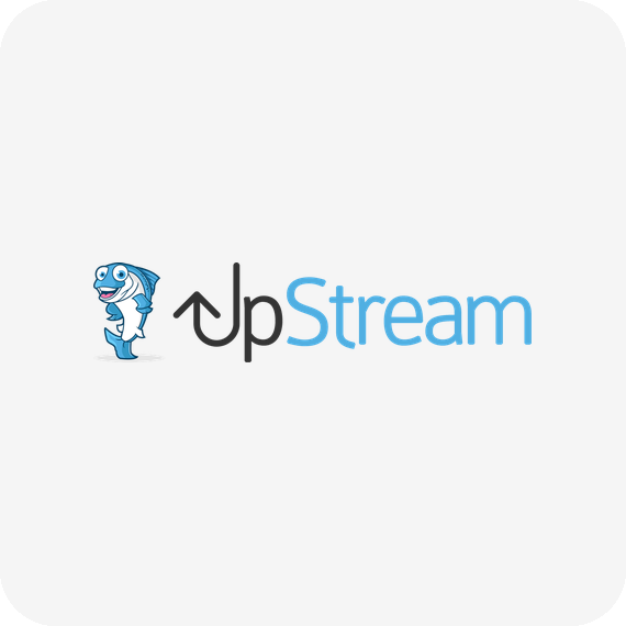 Upstream - Custom Fields