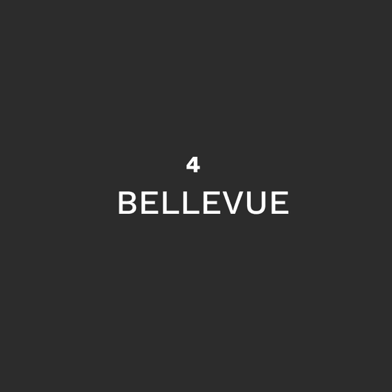 Bellevue - Booking WordPress Theme
