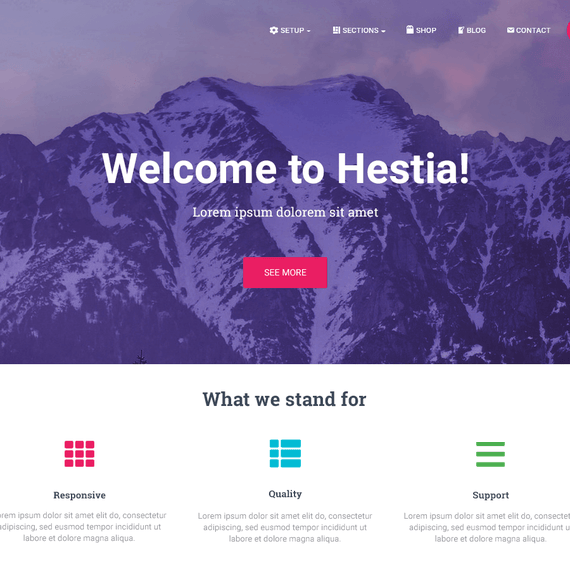 Hestia Pro - Multipurpose WordPress Theme